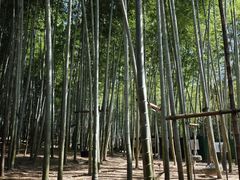 -陶祖圣境风景区