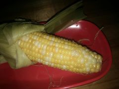 -光明刘冰乳鸽店(光明法政北路店)