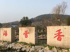 -香雪海