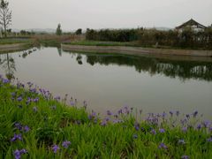 -灵山莲花公园-温泉度假区