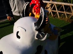 -长春公园(普阳街道)