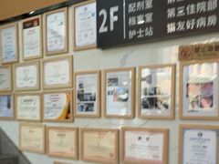 -半岛宠物医院24小时·内窥镜·牙科·碎石中心(府城大道店)