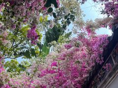 -深圳国际园林花卉博览园