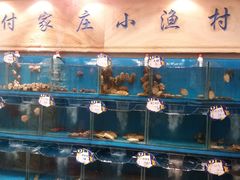 水产区-付家庄小渔村(山东路店)