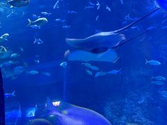 -秦皇岛新澳海底世界