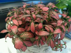 -好宜家眼视光·蔡司店(临汾店)