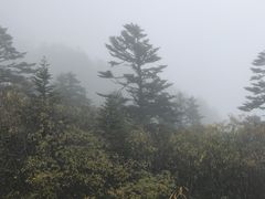 -海螺沟风景区
