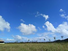 -亚龙湾国际玫瑰谷