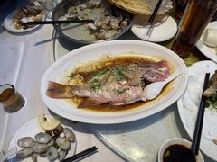 清蒸红鸡鱼-新享乐海鲜(翠华路店)