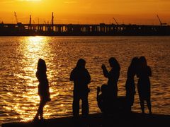 -宝安西湾红树林湿地公园