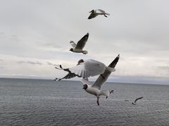 -青海湖二郎剑景区