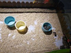 -绿色星球动物主题公园