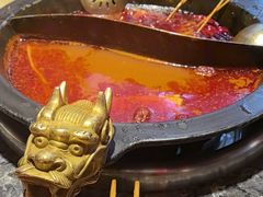 -蜀大侠火锅(总府路店)