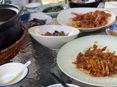 -阿巧茶庄