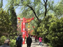 -洛阳市隋唐城遗址植物园