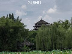 -桂湖森林公园