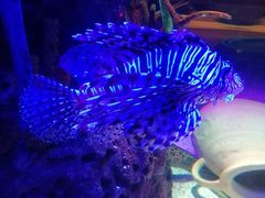 -沈阳海洋探索中心