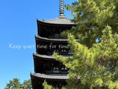 -奈良公园