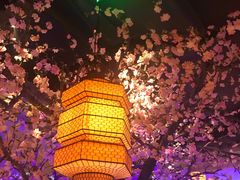 -绿茶餐厅(松江万达店)