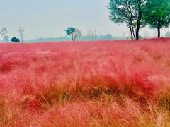 -汉长安城未央宫国家考古遗址公园