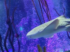 -沈阳海洋探索中心