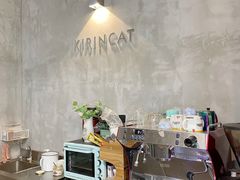 -十年猫舍·猫咪专门店(普陀店)