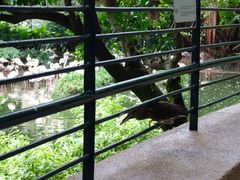 -九龙公园