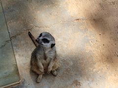 -辛玛王国游乐园