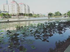 -雁滩公园