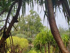 -中国科学院西双版纳热带植物园
