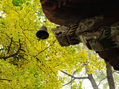 -成都市文殊院