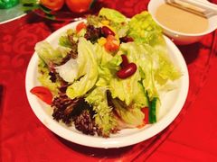 -泰康之家·申园