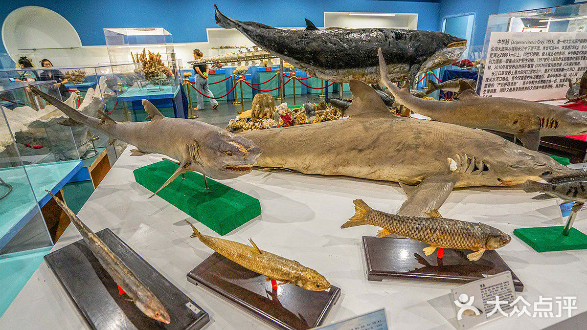 崇明长兴岛上，有一座上海长兴岛博物馆