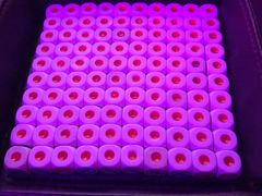 -好乐迪KTV(金钻店)