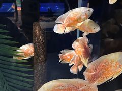 -重庆欢乐海底世界