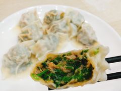 香菜土猪肉水饺-霍嘟嘟手工水饺(黄山花园店)