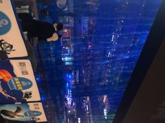 -成都浩海立方海洋公园