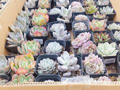 -大润发(勤业店)