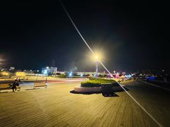 -海河外滩公园