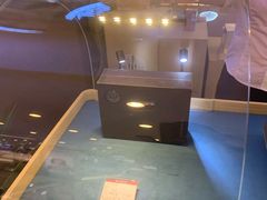 -燕莎友谊商城(亮马桥店)