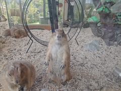 -珠海海泉湾神秘岛亲子乐园