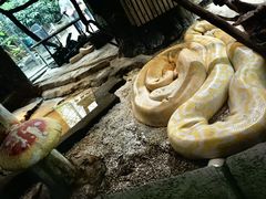 -大连森林动物园