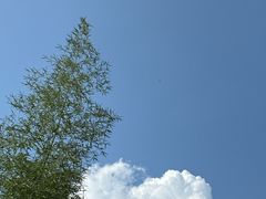 -龙井峡漂流