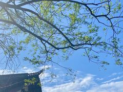 -窦圌山风景区