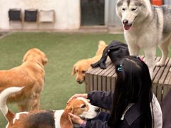 -趣多多宠物公园·宠物训犬学校·宠物寄养