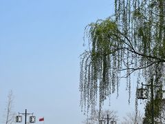 -香雪海