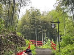 -东明山森林公园