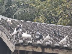 -厦门园林博览苑