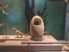 -中华恐龙园