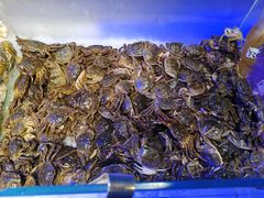 -比尔森韩式烤肉自助(国商店)